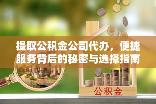 瑞丽提取公积金公司代办，便捷服务背后的秘密与选择指南