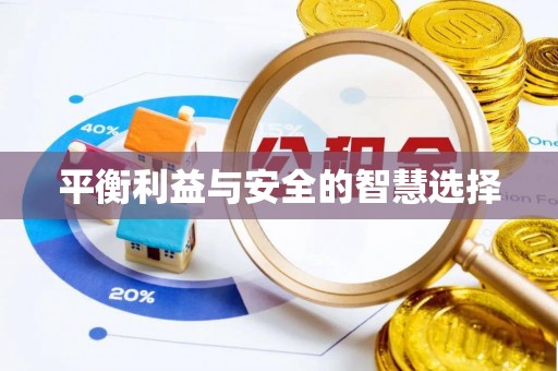瑞丽平衡利益与安全的智慧选择