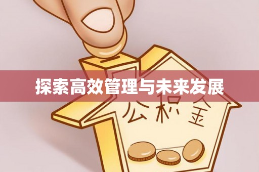 瑞丽探索高效管理与未来发展