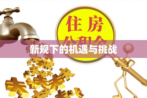 瑞丽新规下的机遇与挑战