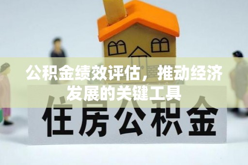 瑞丽公积金绩效评估，推动经济发展的关键工具