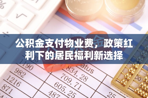 瑞丽公积金支付物业费，政策红利下的居民福利新选择
