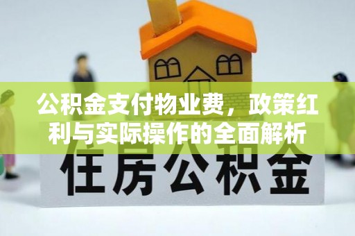 瑞丽公积金支付物业费，政策红利与实际操作的全面解析