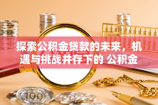 瑞丽探索公积金贷款的未来，机遇与挑战并存下的 公积金贷款风险防控