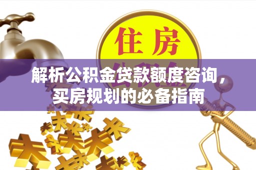 瑞丽解析公积金贷款额度咨询，买房规划的必备指南
