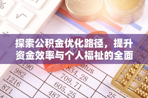 瑞丽探索公积金优化路径，提升资金效率与个人福祉的全面解析