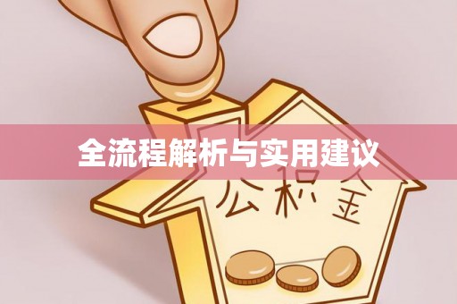 瑞丽全流程解析与实用建议