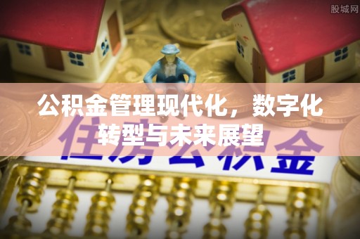 瑞丽公积金管理现代化，数字化转型与未来展望