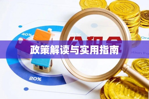 瑞丽政策解读与实用指南