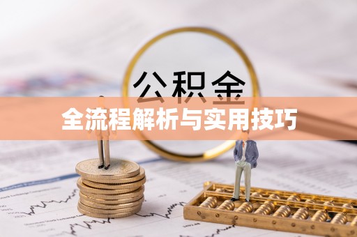 瑞丽全流程解析与实用技巧