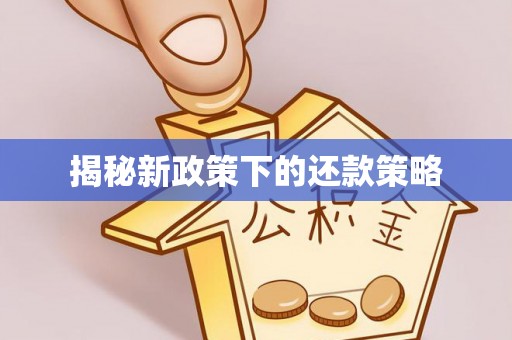 瑞丽揭秘新政策下的还款策略