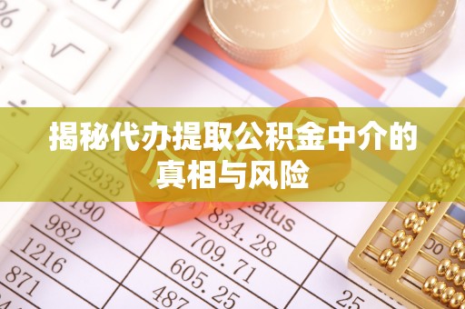 瑞丽揭秘代办提取公积金中介的真相与风险