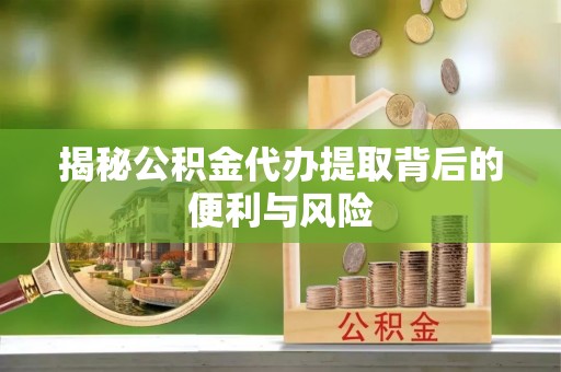 瑞丽揭秘公积金代办提取背后的便利与风险