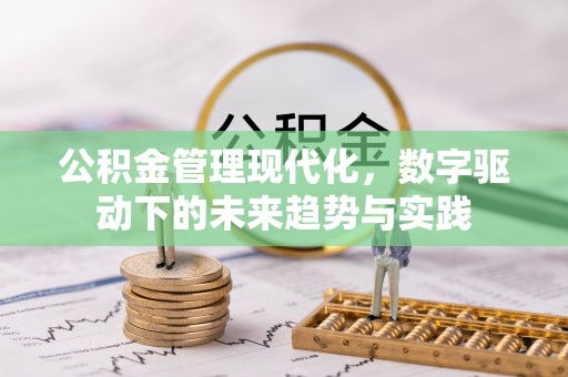 瑞丽公积金管理现代化，数字驱动下的未来趋势与实践