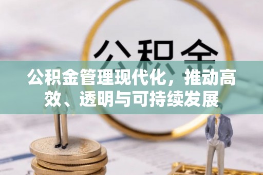 瑞丽公积金管理现代化，推动高效、透明与可持续发展