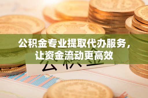 瑞丽公积金专业提取代办服务，让资金流动更高效