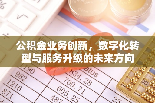 瑞丽公积金业务创新，数字化转型与服务升级的未来方向
