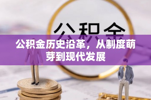 瑞丽公积金历史沿革，从制度萌芽到现代发展
