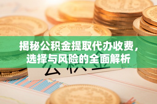 瑞丽揭秘公积金提取代办收费，选择与风险的全面解析