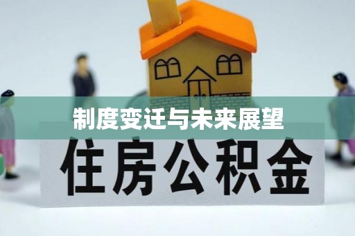 瑞丽制度变迁与未来展望