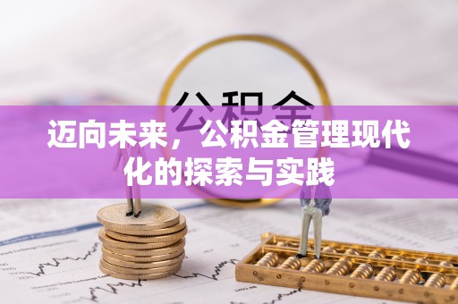 瑞丽迈向未来，公积金管理现代化的探索与实践