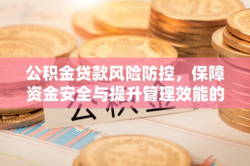 瑞丽公积金贷款风险防控，保障资金安全与提升管理效能的多维度探索