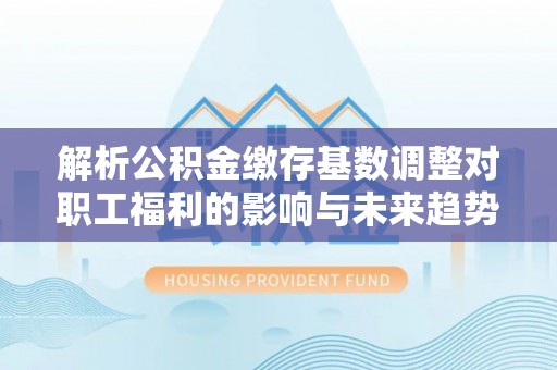 瑞丽解析公积金缴存基数调整对职工福利的影响与未来趋势