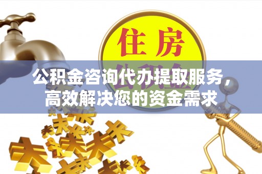 瑞丽公积金咨询代办提取服务，高效解决您的资金需求