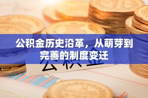 瑞丽公积金历史沿革，从萌芽到完善的制度变迁