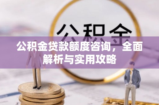瑞丽公积金贷款额度咨询，全面解析与实用攻略