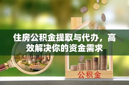 瑞丽住房公积金提取与代办，高效解决你的资金需求