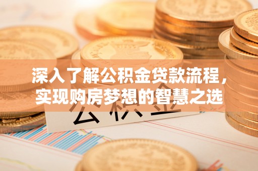 瑞丽深入了解公积金贷款流程，实现购房梦想的智慧之选