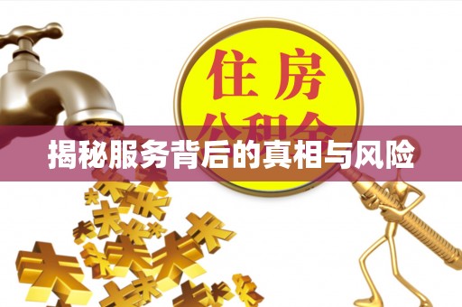 瑞丽揭秘服务背后的真相与风险