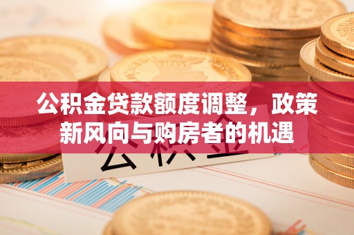 瑞丽公积金贷款额度调整，政策新风向与购房者的机遇