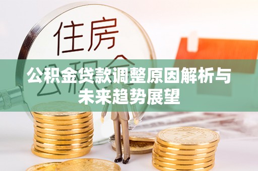 瑞丽公积金贷款调整原因解析与未来趋势展望