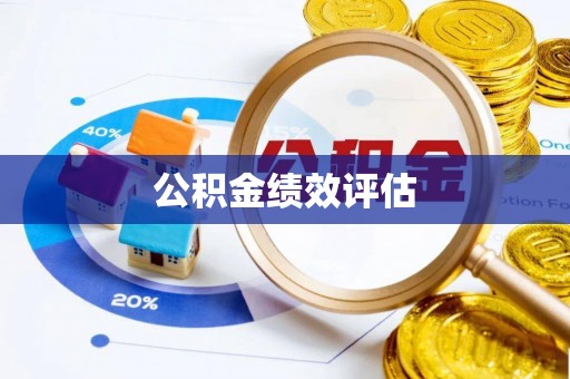 瑞丽公积金绩效评估