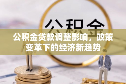 瑞丽公积金贷款调整影响，政策变革下的经济新趋势