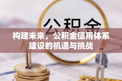 瑞丽构建未来，公积金信用体系建设的机遇与挑战