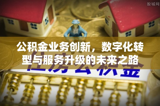 瑞丽公积金业务创新，数字化转型与服务升级的未来之路