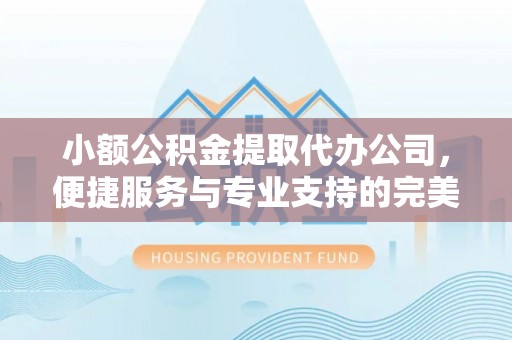 瑞丽小额公积金提取代办公司，便捷服务与专业支持的完美结合