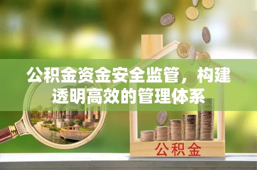 瑞丽公积金资金安全监管，构建透明高效的管理体系