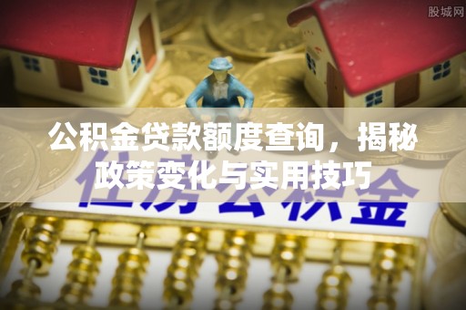 瑞丽公积金贷款额度查询，揭秘政策变化与实用技巧