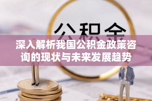 瑞丽深入解析我国公积金政策咨询的现状与未来发展趋势