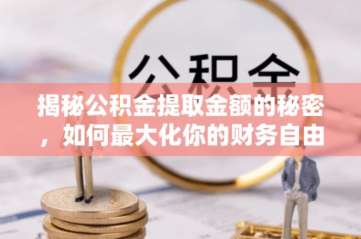 瑞丽揭秘公积金提取金额的秘密，如何最大化你的财务自由