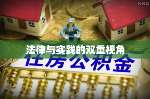 瑞丽法律与实践的双重视角