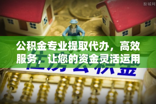 瑞丽公积金专业提取代办，高效服务，让您的资金灵活运用