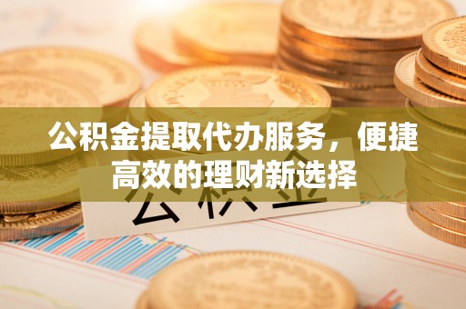 瑞丽公积金提取代办服务，便捷高效的理财新选择
