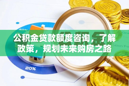 瑞丽公积金贷款额度咨询，了解政策，规划未来购房之路