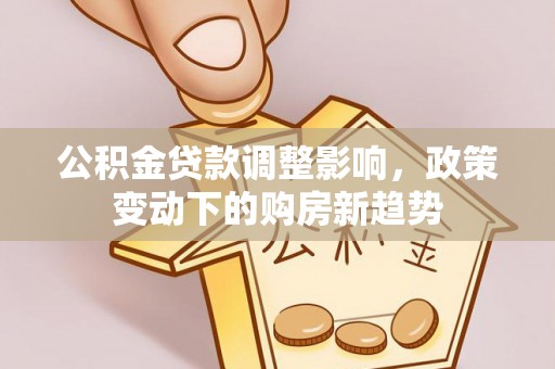 瑞丽公积金贷款调整影响，政策变动下的购房新趋势