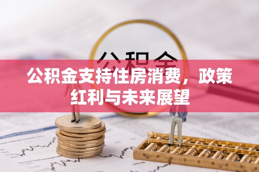 瑞丽公积金支持住房消费，政策红利与未来展望